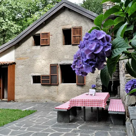 Rustico Gola Di * Lelgio